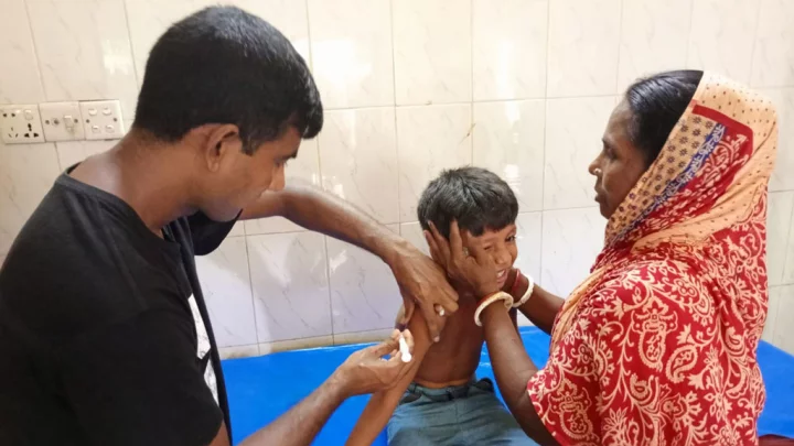 বগুড়ায় কুকুরের কামড়ে আহত ২২, হাসপাতালে ভ্যাকসিন সংকট