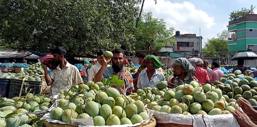 কানসাটে আমের বাজার ফের চাঙ্গা