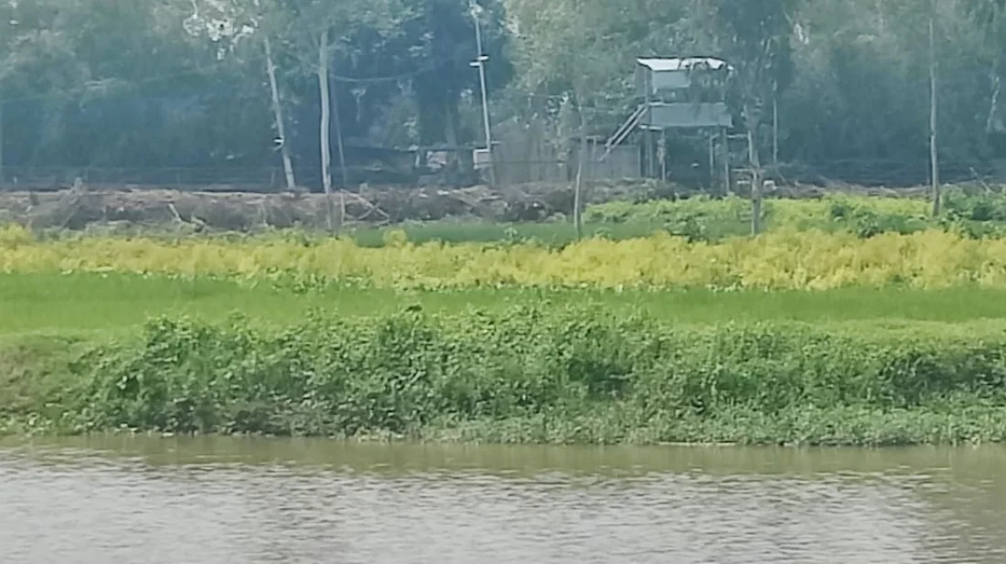 পাঁচবিবি সীমান্তে আবারও বিএসএফের কাঁটাতারের বেড়া দেওয়ার চেষ্টা, বিজিবির বাধা