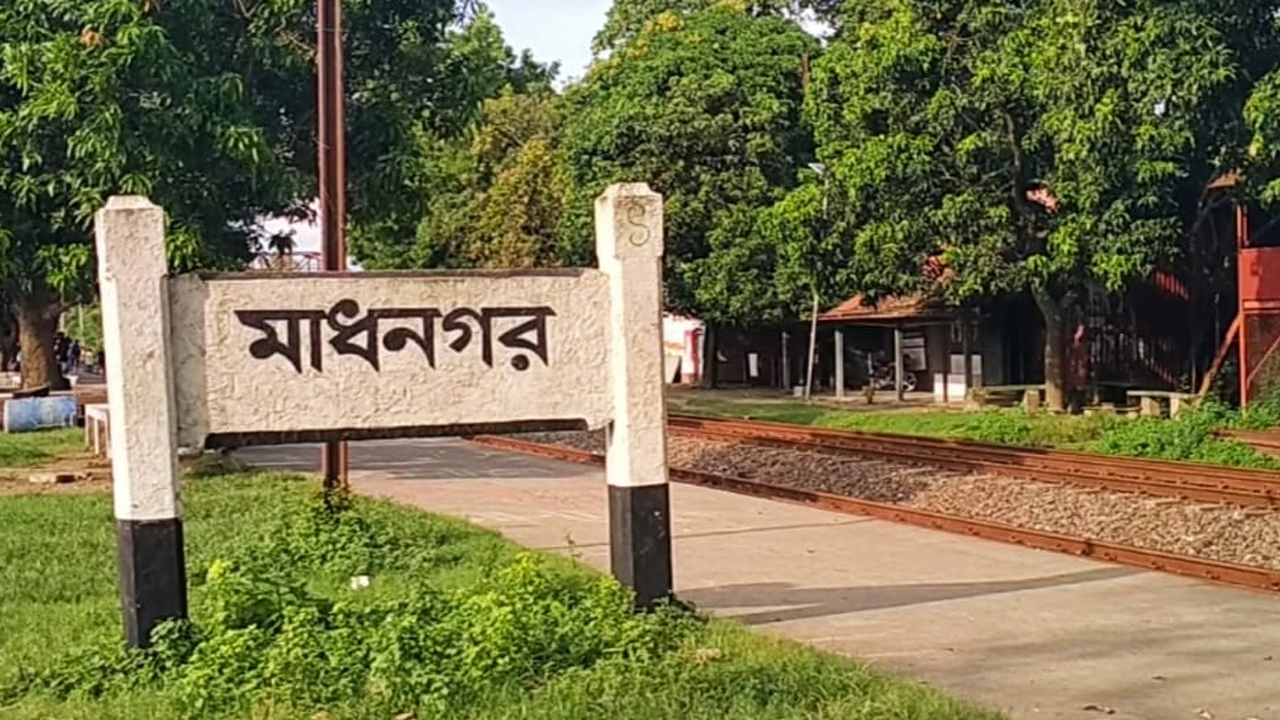 ওভারব্রিজের পিলারের সঙ্গে ধাক্কা লেগে ট্রেনযাত্রীর মৃত্যু
