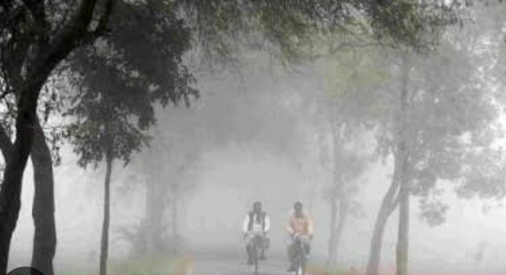 তীব্র শীতে বিপর্যস্ত বাঘার জনজীবন