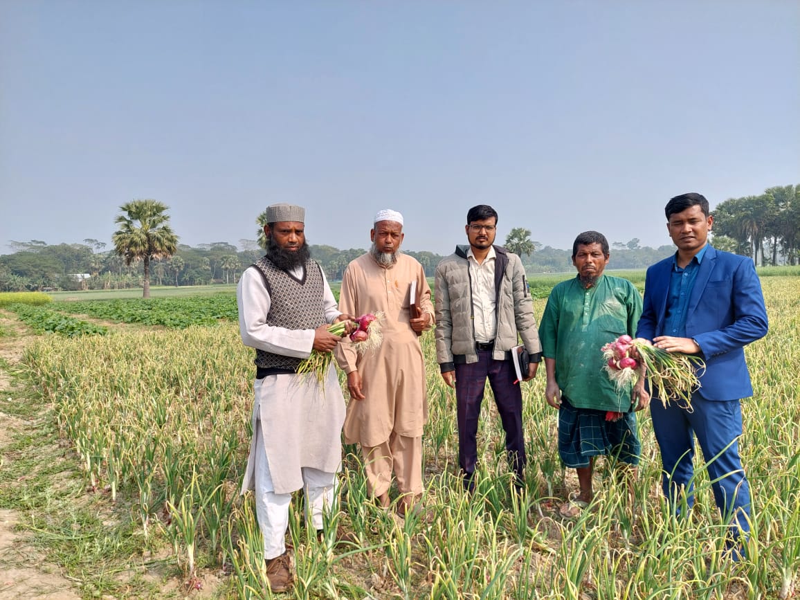 ভাঙ্গায় ভারতীয় ‘নাসিক এন-৫৩ জাতের গ্রীষ্মকালীন পেঁয়াজ চাষে উদ্দীপনায় প্রান্তিক কৃষক