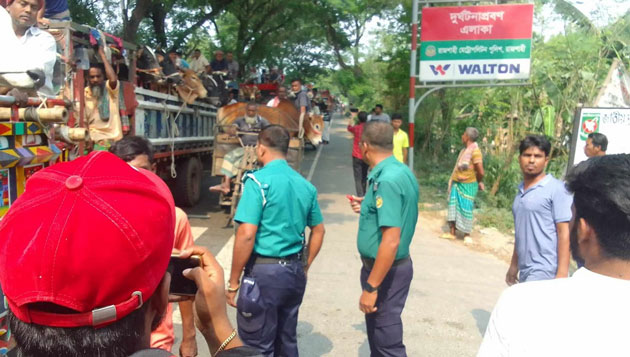 রাজশাহীতে দুই পশুর হাট ঘিরে উত্তেজনা, চরম দুর্ভোগে গরু ব্যবসায়ীরা