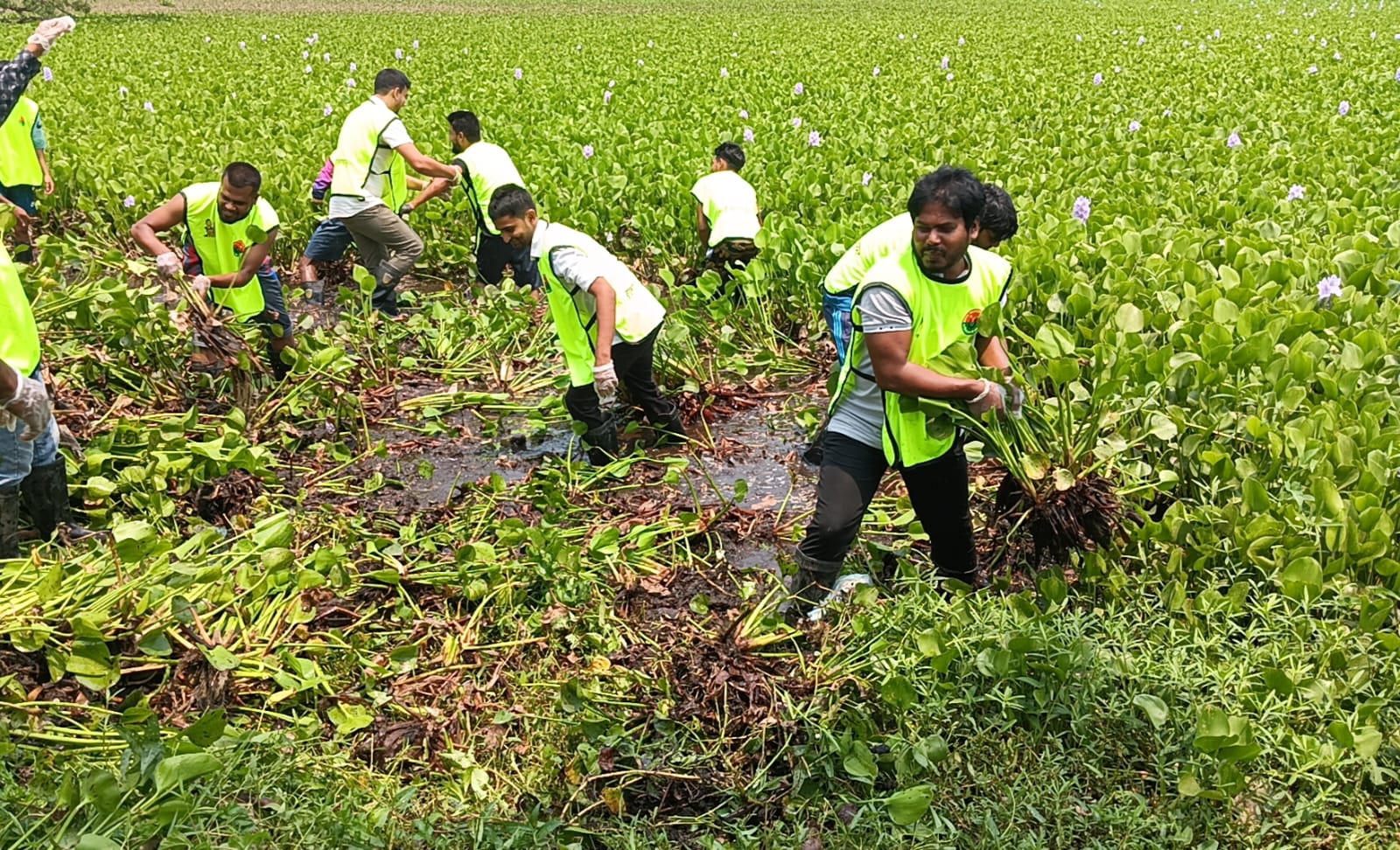 রাজশাহীতে নগর যুবদলের পরিচ্ছন্নতা ও মশা নিয়ন্ত্রণ কর্মসূচি