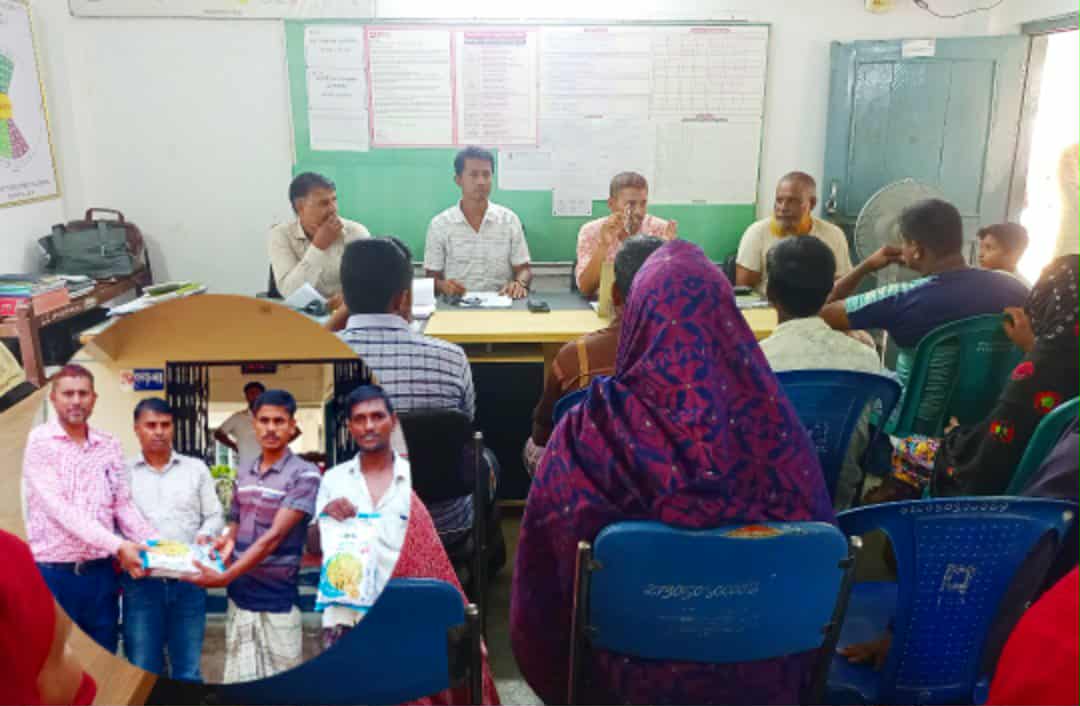 তানোরে কৃষকদের মধ্যে ব্র্যাকের উন্নত মানের চিকন হাইব্রিড ধান বীজ বিতরণ