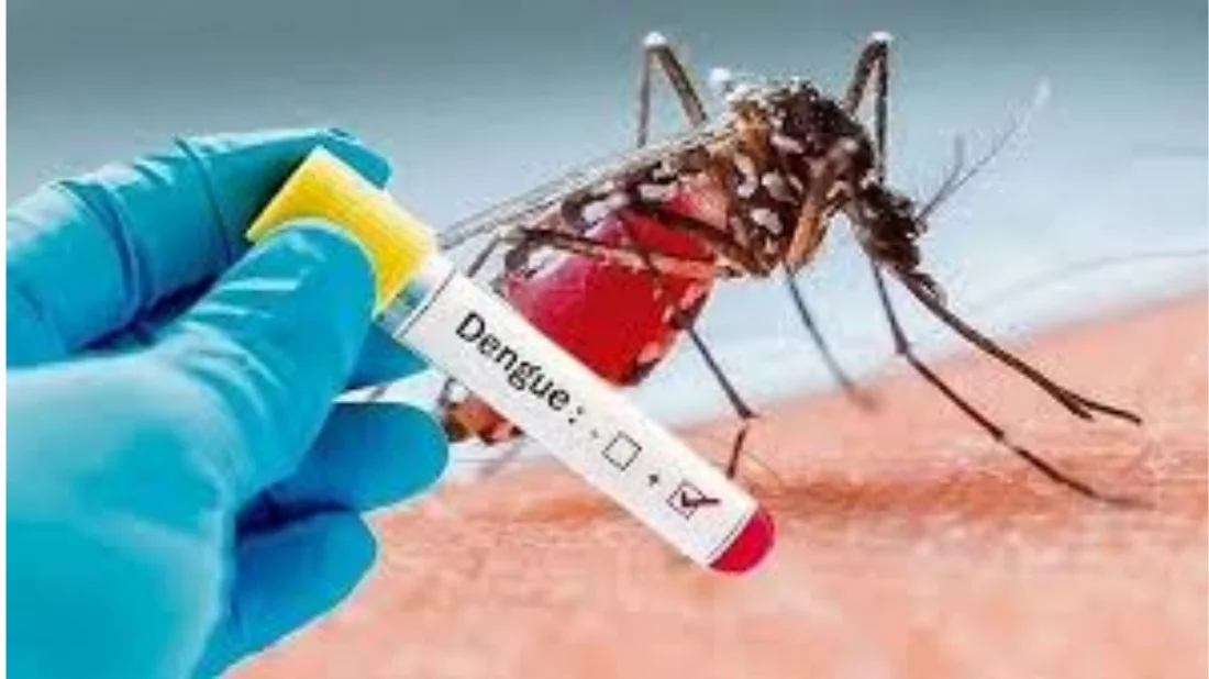 ডেঙ্গুতে আরও একজনের মৃত্যু, আক্রান্ত ১৬৯
