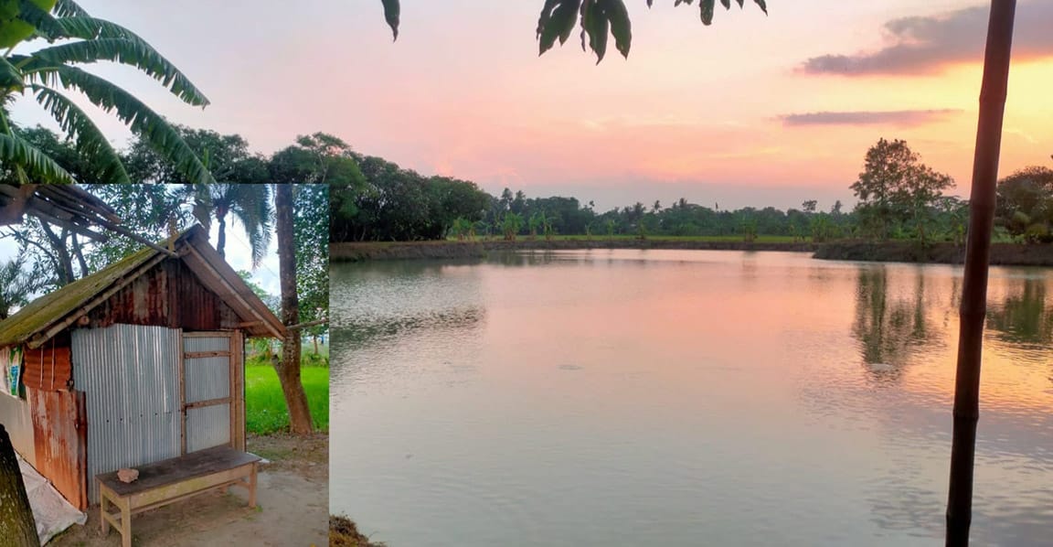 যশোরের শার্শায় দুলা ভাইয়ের ঘের মাছ লুট করলো আপন শ্যালক